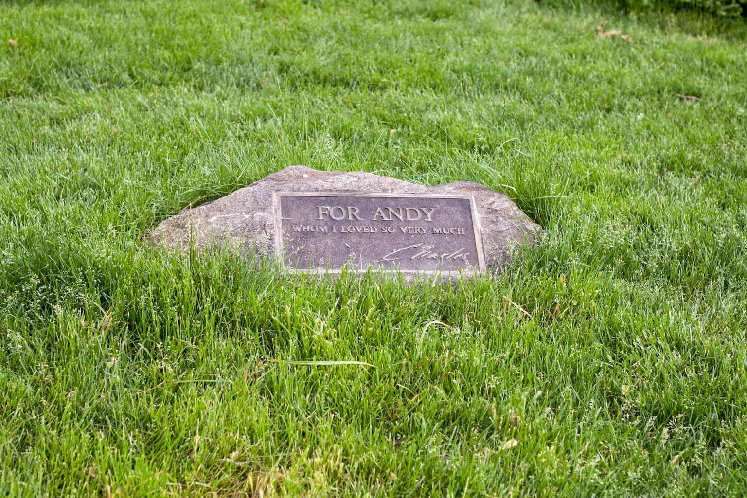 Bronze memorial plaque